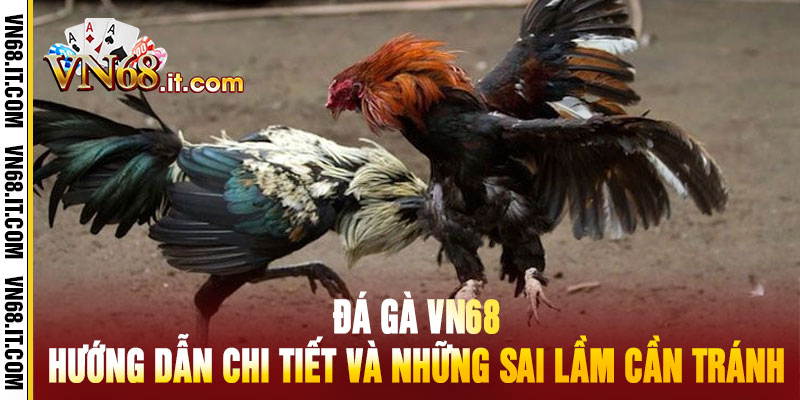 Đá Gà Vn68